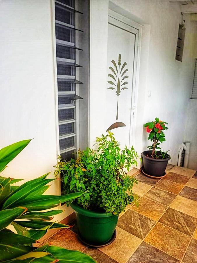 Le Balisier Apartment แซงต์-ฟรองซัวส์ ภายนอก รูปภาพ